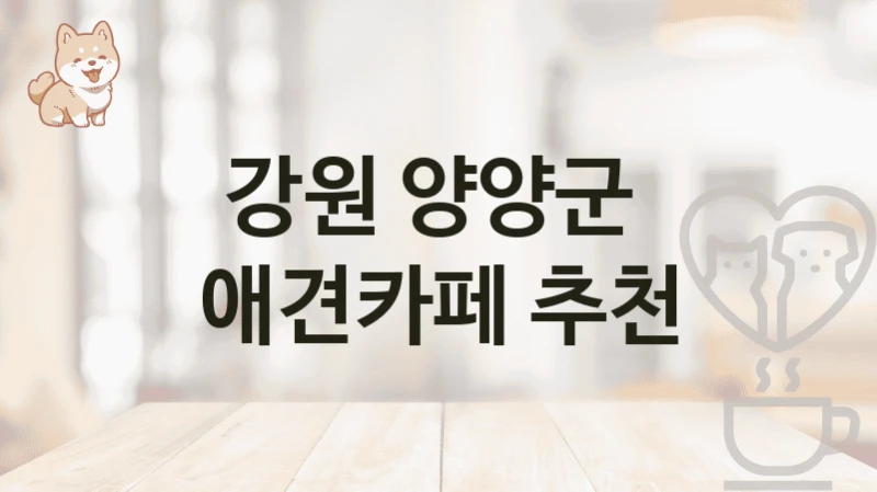 강원 양양군 형태별 카페+놀이터 복합공간 – 입장료, 이용료 정보