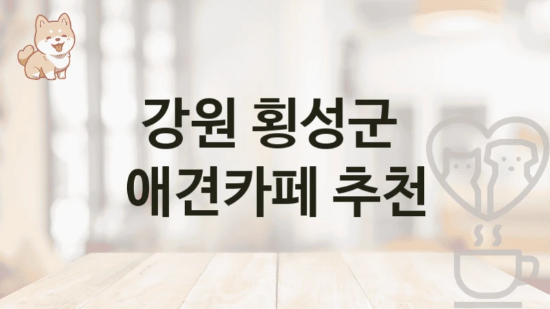 강원 횡성군  애견카페 추천