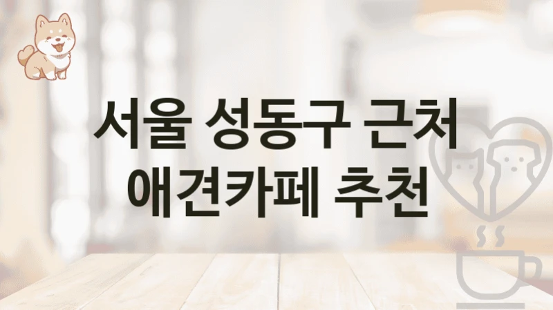 서울 성동구 근처 애견카페 추천