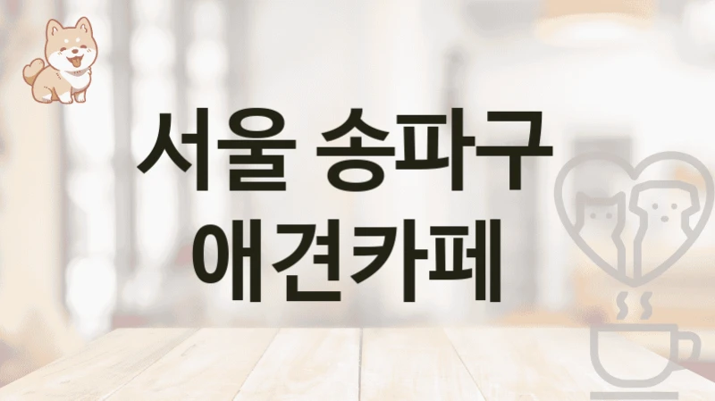 서울 송파구  애견카페