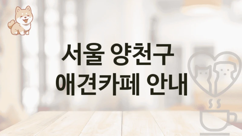 서울 양천구  애견카페 안내