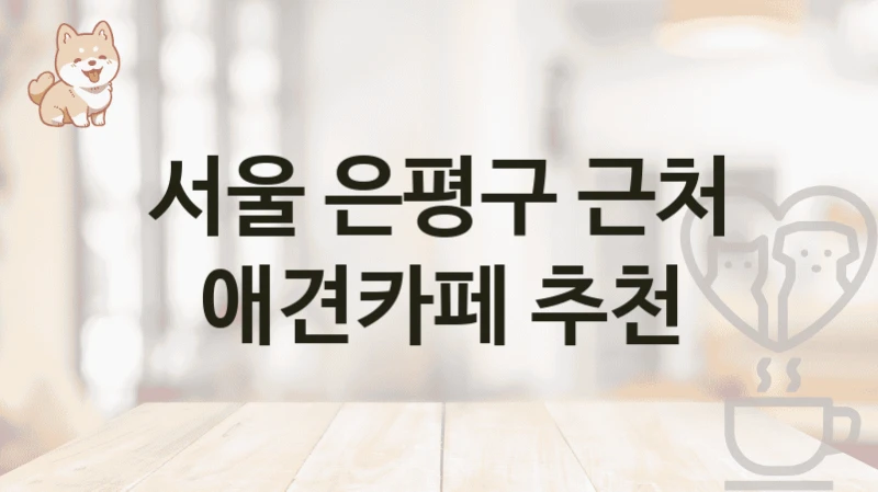 서울 은평구 근처 애견카페 추천