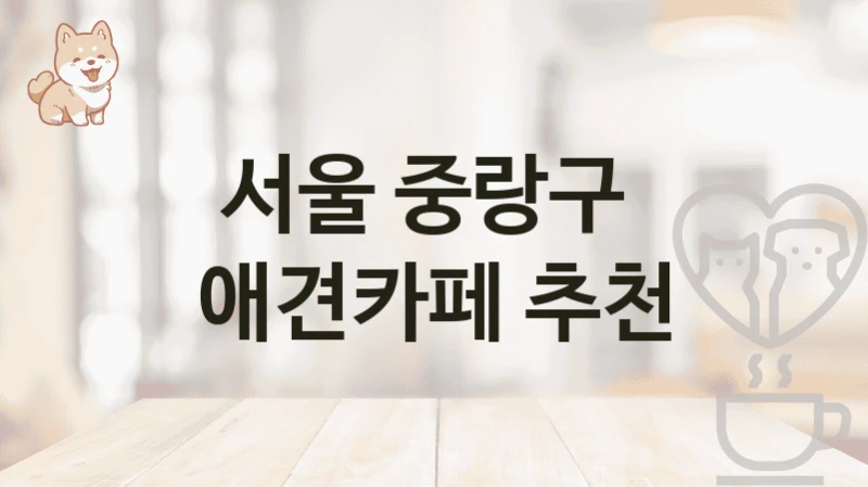 서울 중랑구  애견카페 추천