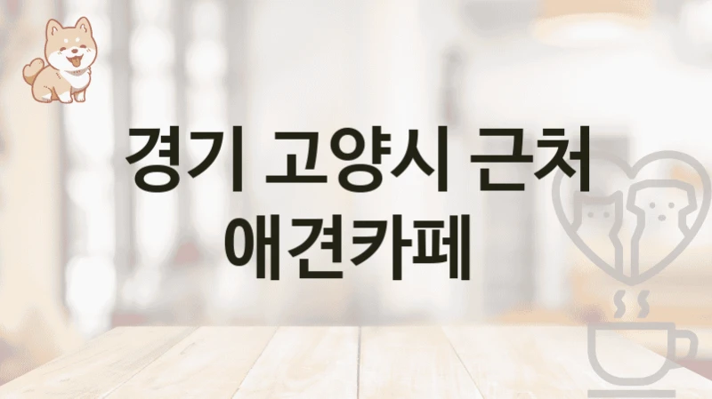 경기 고양시 근처 애견카페