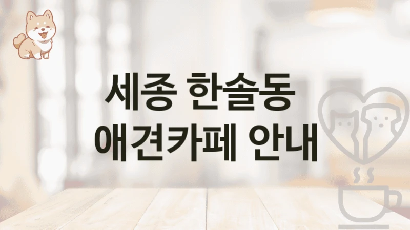 세종 한솔동  애견카페 안내