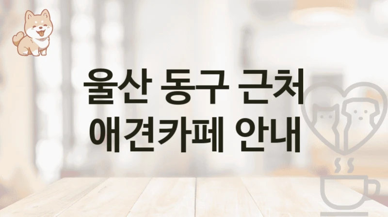 울산 동구 근처 애견카페 안내