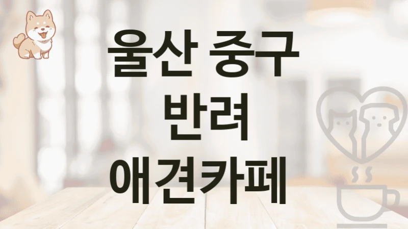 울산 중구 반려 애견카페