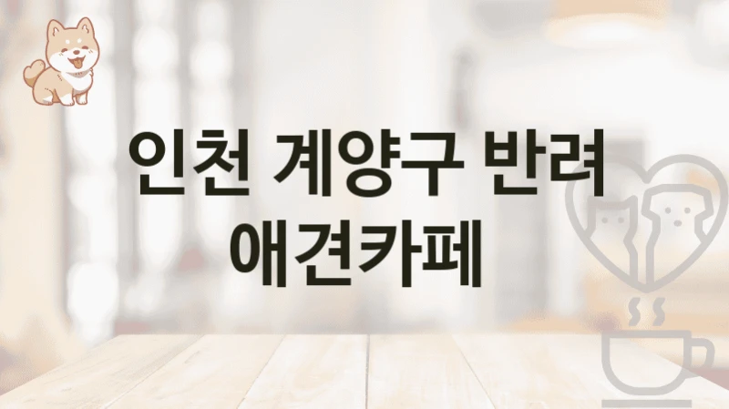 인천 계양구 반려 애견카페