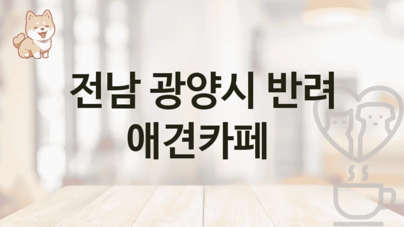 전남 광양시 반려 애견카페