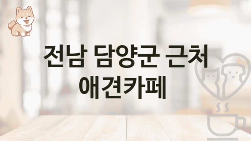 전남 담양군 근처 애견카페