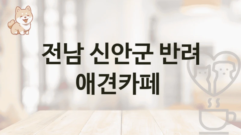 전남 신안군 반려 애견카페