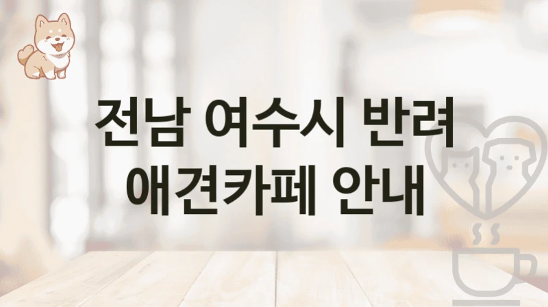 전남 여수시 반려 애견카페 안내