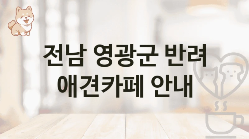 전남 영광군 반려 애견카페 안내