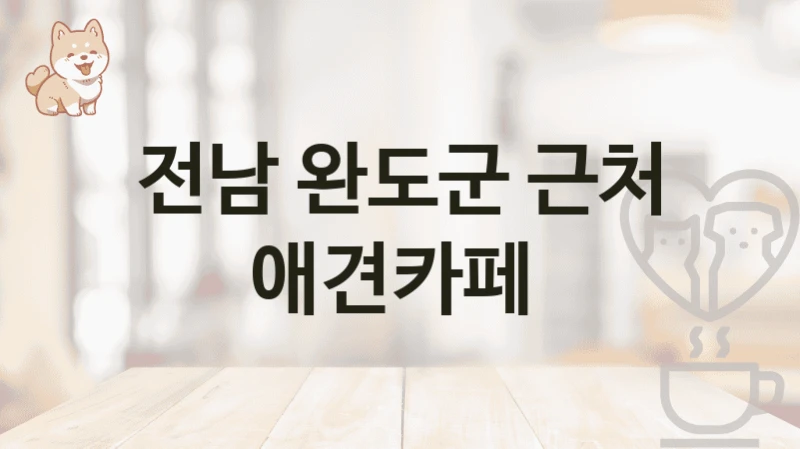 전남 완도군 근처 애견카페