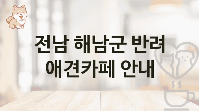 전남 해남군 반려 애견카페 안내