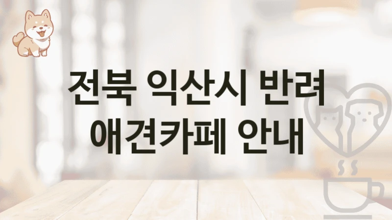 전북 익산시 반려 애견카페 안내