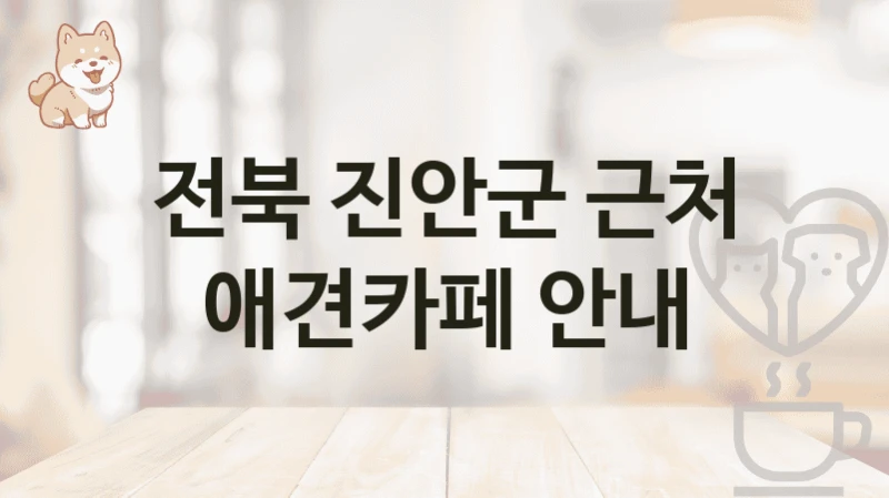전북 진안군 반려견과 함께하는 애견카페 인기 리스트, 비용 안내