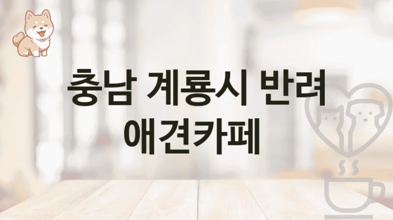 충남 계룡시 댕댕이와 함께 즐기는 애견카페 인기 명소, 입장료 및 이용정보