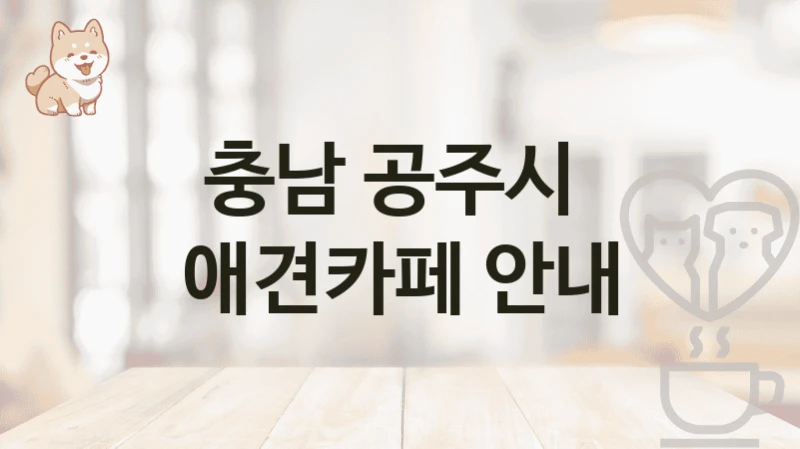 충남 공주시  애견카페 안내