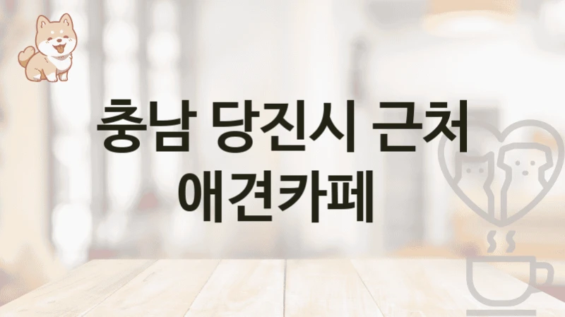 충남 당진시 댕댕이도 좋아하는 애견카페 소개 및 이용료 총정리
