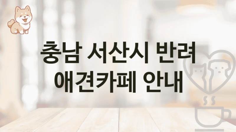 충남 서산시 반려 애견카페 안내