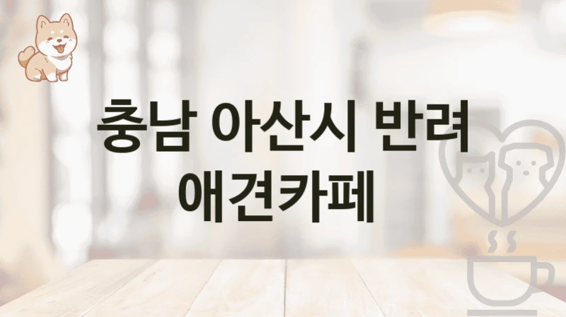 충남 아산시 댕댕이와 함께 즐기는 애견카페 방문 후기 좋은 곳, 비용 안내
