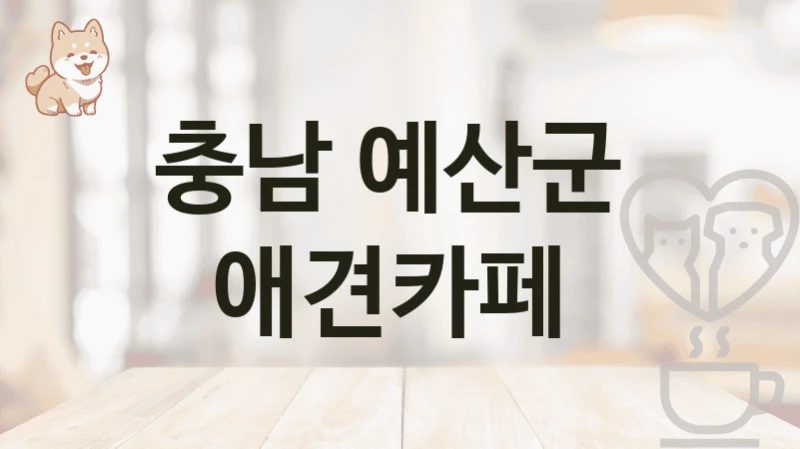 예산군 댕댕이 전용 애견카페 리스트 – 이용 가격 및 공간 정보