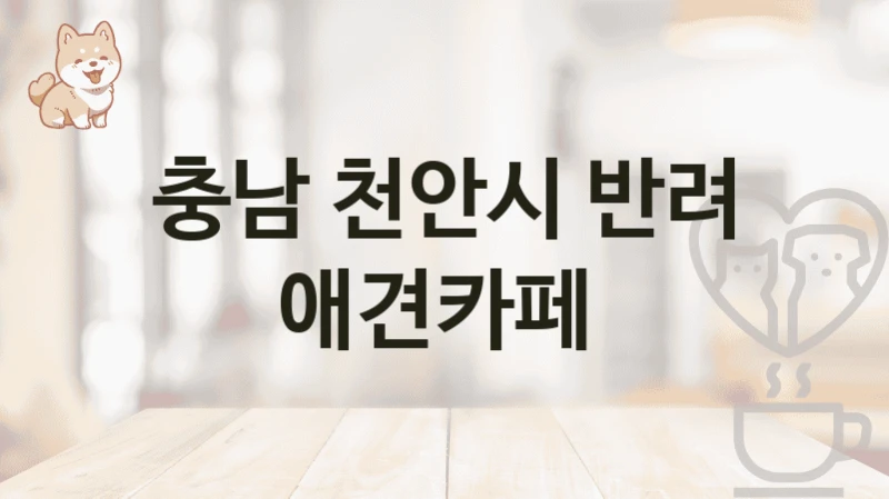 천안시 강아지 놀이터 겸용 애견카페 추천, 이용비용 및 서비스
