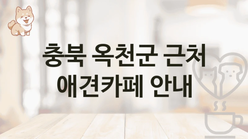 옥천군 반려견 전용 공간 애견카페 소개, 이용비용 및 서비스