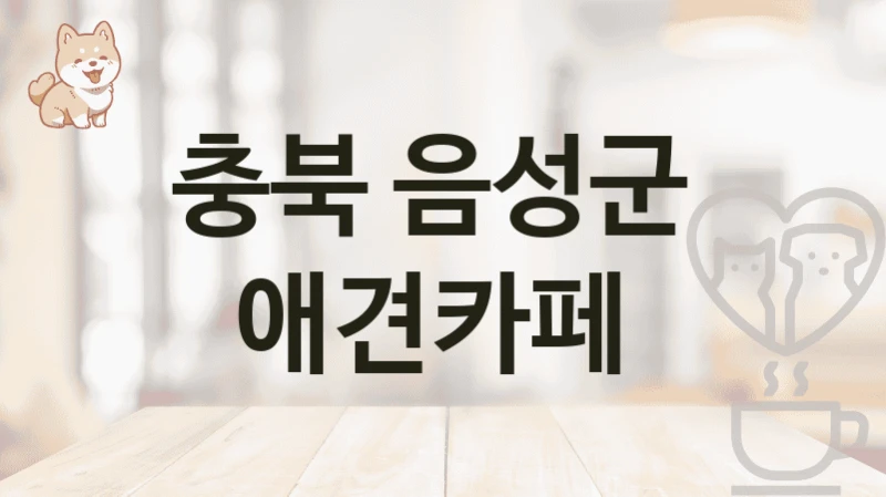 음성군 추천하는 강아지 애견카페 소개, 놀이터 및 입장 비용