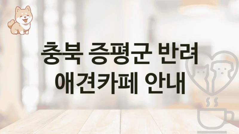 충북 증평군 근처 애견카페 놀이터 추천, 비용 안내