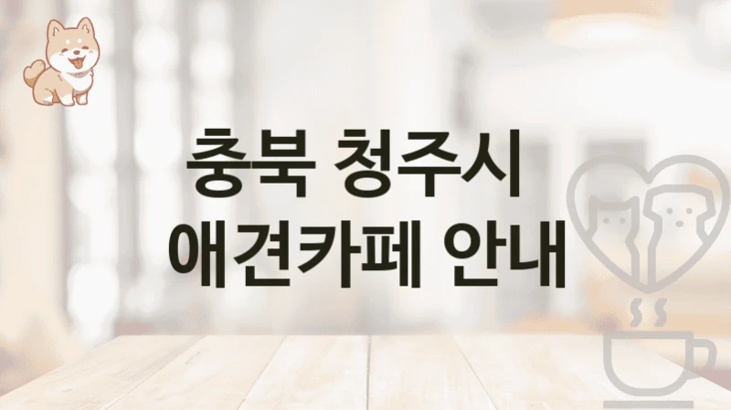 충북 청주시 강아지와 즐기는 애견카페 BEST 리스트, 비용 안내