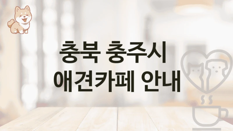 충북 충주시 도심 속 감성 애견카페 추천 리스트 및 서비스 비용