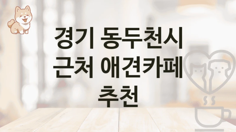 경기 동두천시 근처 애견카페 추천
