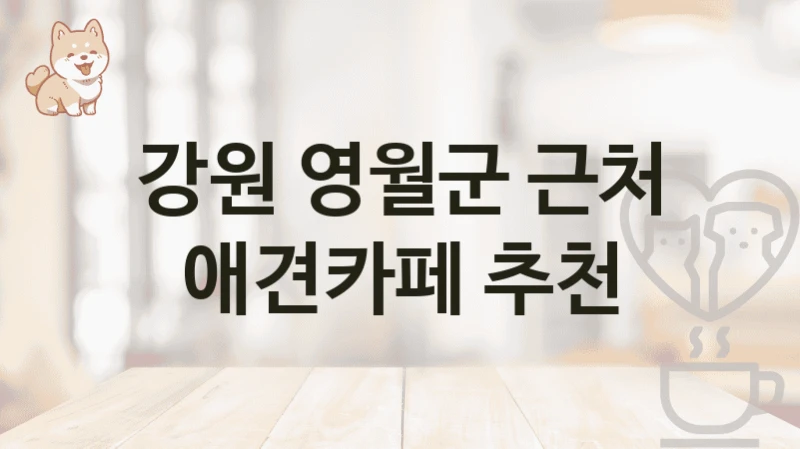 강원 영월군 애견카페 순위 – 위치 및 운영정보