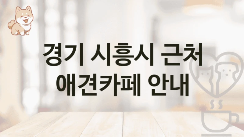 경기 시흥시 근처 애견카페 안내