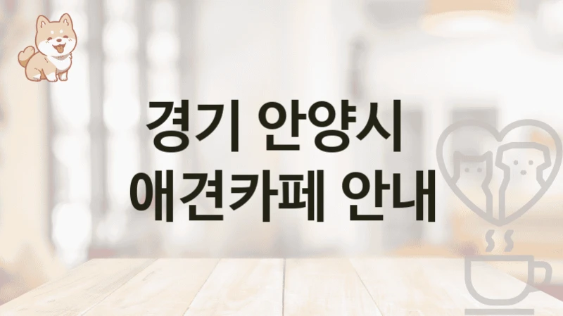 경기 안양시  애견카페 안내