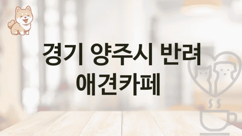 경기 양주시 반려 애견카페