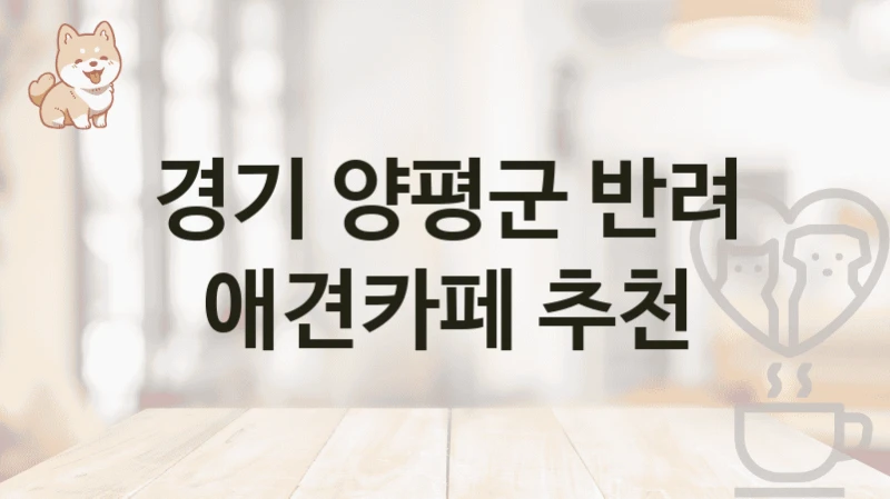 경기 양평군 반려 애견카페 추천