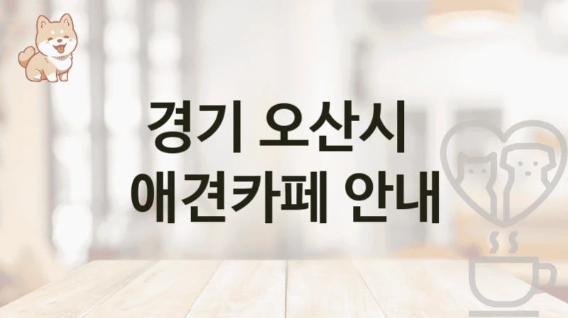 경기 오산시  애견카페 안내