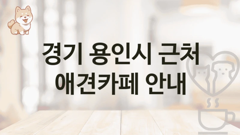경기 용인시 근처 애견카페 안내