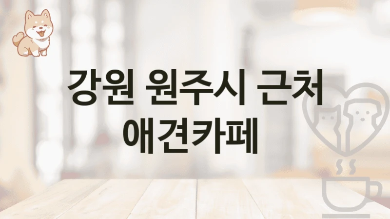 강원 원주시 TOP5 애견카페 – 비용, 입장료, 서비스 총정리