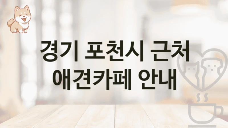 경기 포천시 근처 애견카페 안내