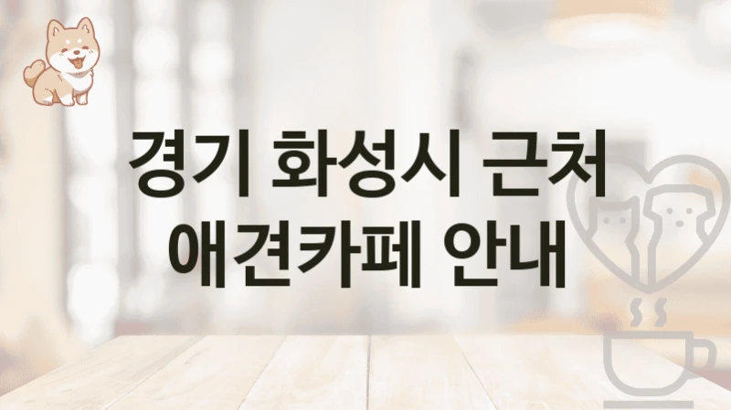 경기 화성시 근처 애견카페 안내