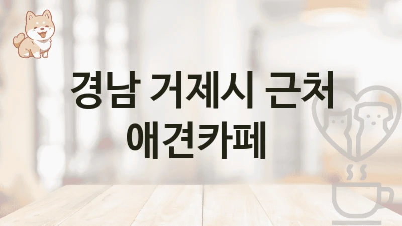 경남 거제시 근처 애견카페