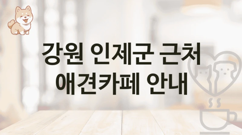 인제군 댕댕이와 커피타임 애견카페 추천, 이용비용 및 서비스