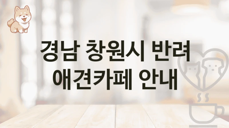 경남 창원시 반려 애견카페 안내