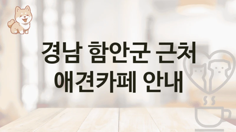 경남 함안군 근처 애견카페 안내