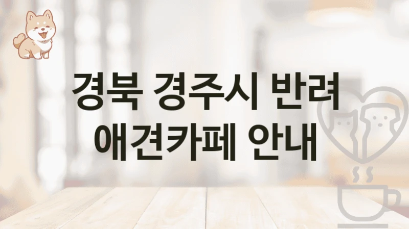 경북 경주시 반려 애견카페 안내