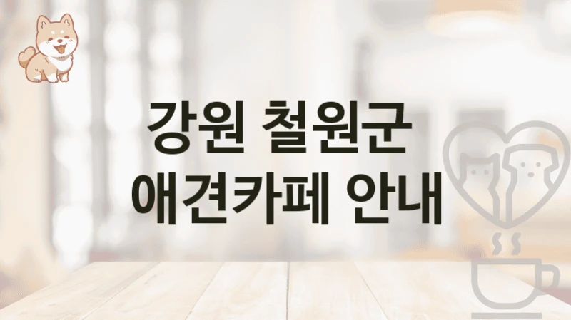 철원군 댕댕이와 커피타임 애견카페 추천, 입장료와 운영시간